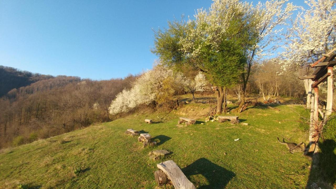 Арт Комплекс Горски Дом - Трявна Triavna Exterior foto